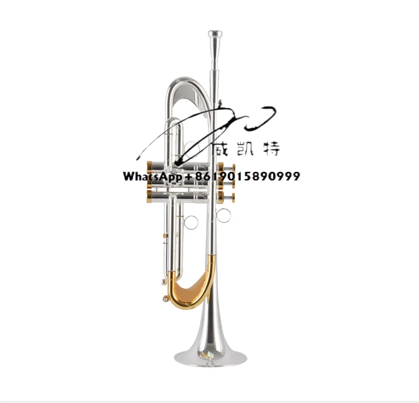 

Heavy B-Flat Trumpet Sliver Plated Brass Instrument with EB BB Tone