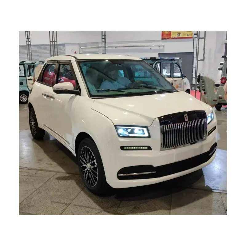 High Quality New EV Color Customized 3500W 4 Wheel Car Adult Daily Use NEDC 401-500km Range 60km/h Speed