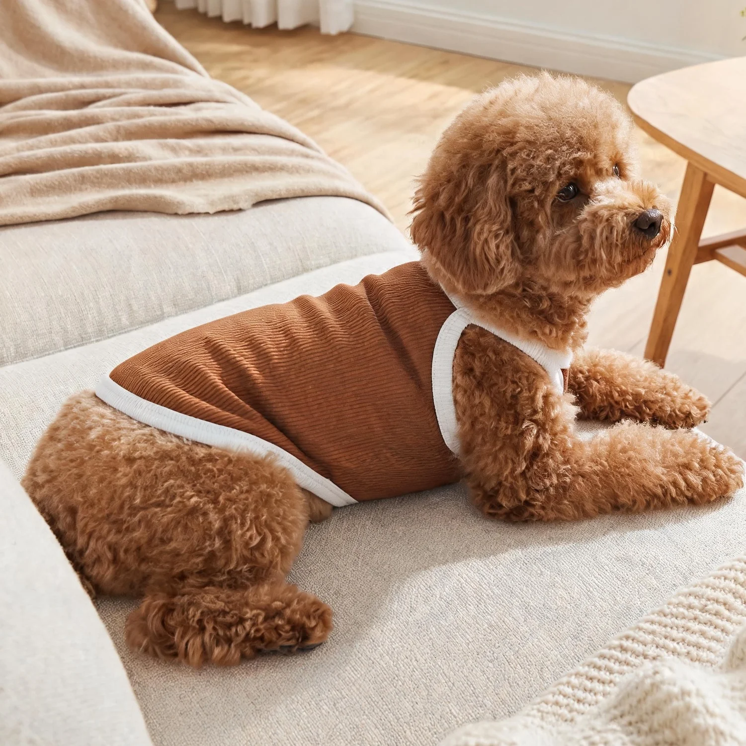 1PC Tank top anjing dengan pin - Tank Top Ribbed ulasan dan harga