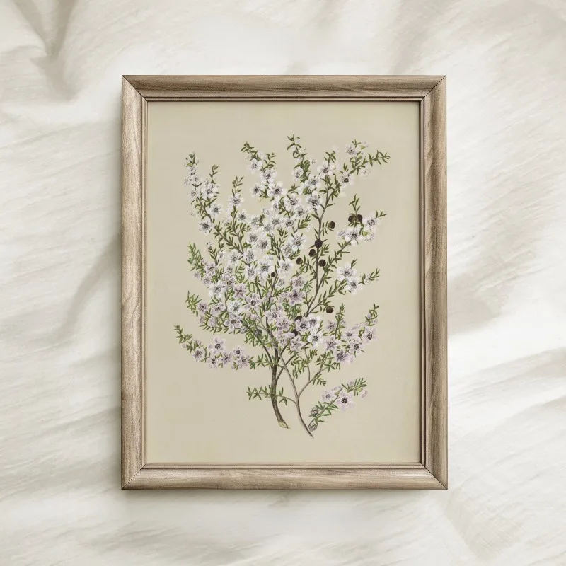 Vintage Beauty Style Botanical Flower Floral Gallery Art Poster Canvas Painting Wall Prints Picture for Living Room Home Decor