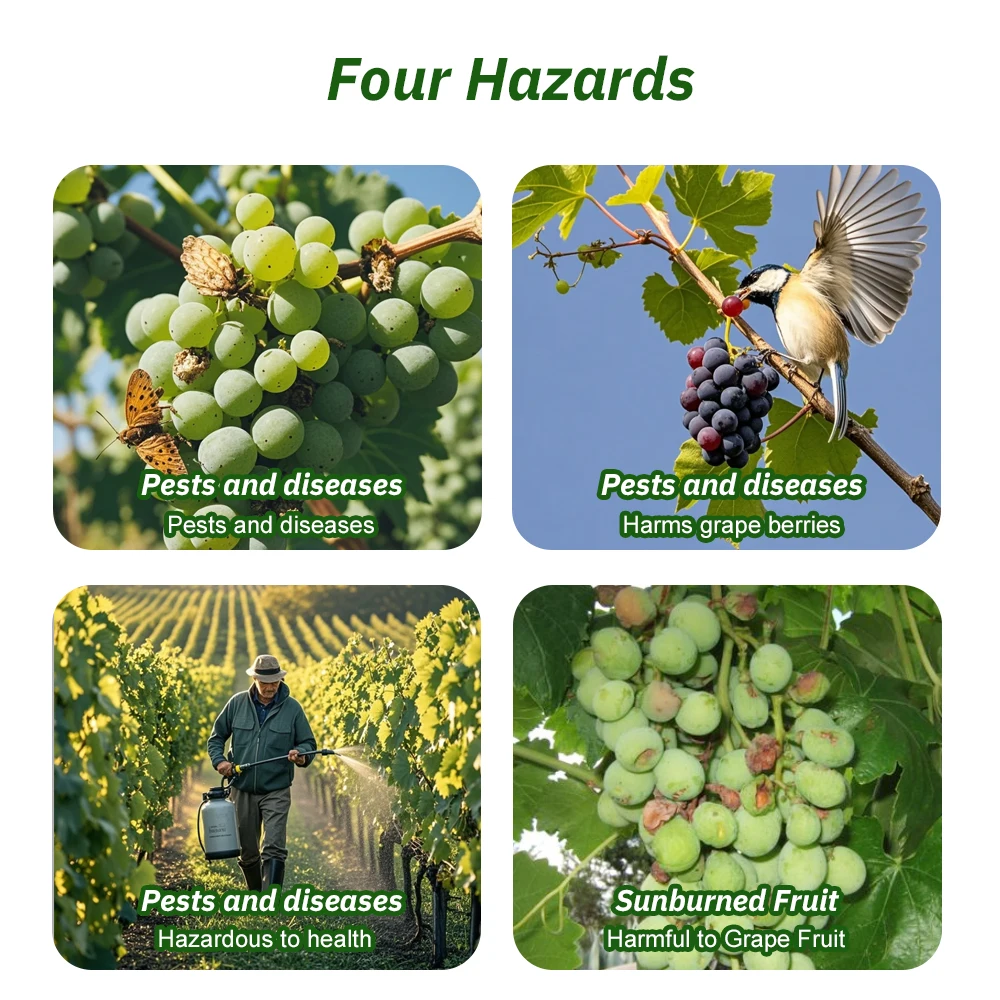 Sacs de Protection des fruits Non tissés, sacs de Protection respirants pour vergers, sacs horticoles, sacs de Protection contre les insectes et les oiseaux