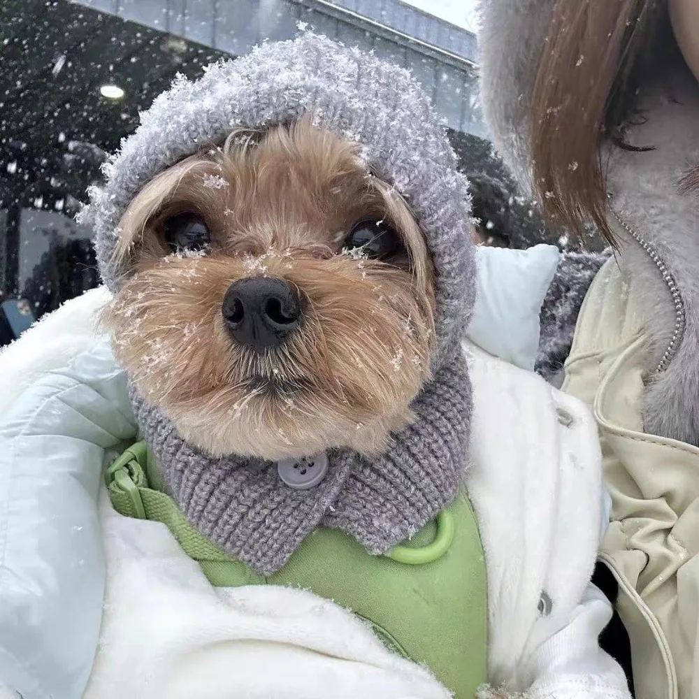 

Puppy Dress Up Warm Dog Knitted Hat Fashion Comfortable Cat Bear Hat Soft Solid Color Dog Head Cover Autumn Winter