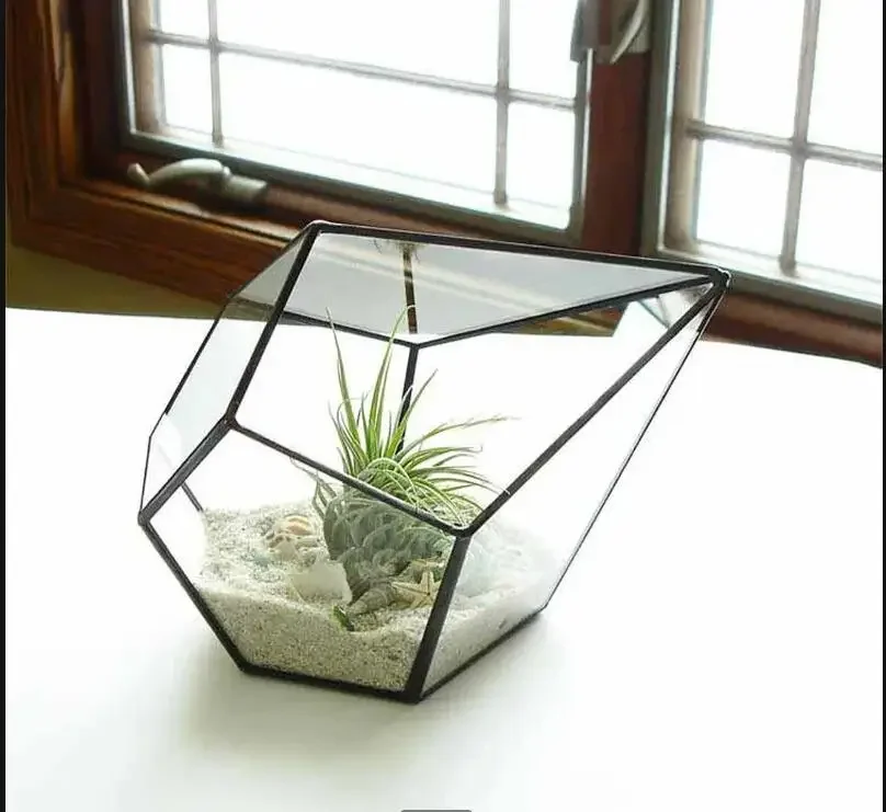 

Eternal Flower Box Display Stand Succulent Pot Plant Glass Vase Flowerpot Micro Landscape Garden Pots Decorative