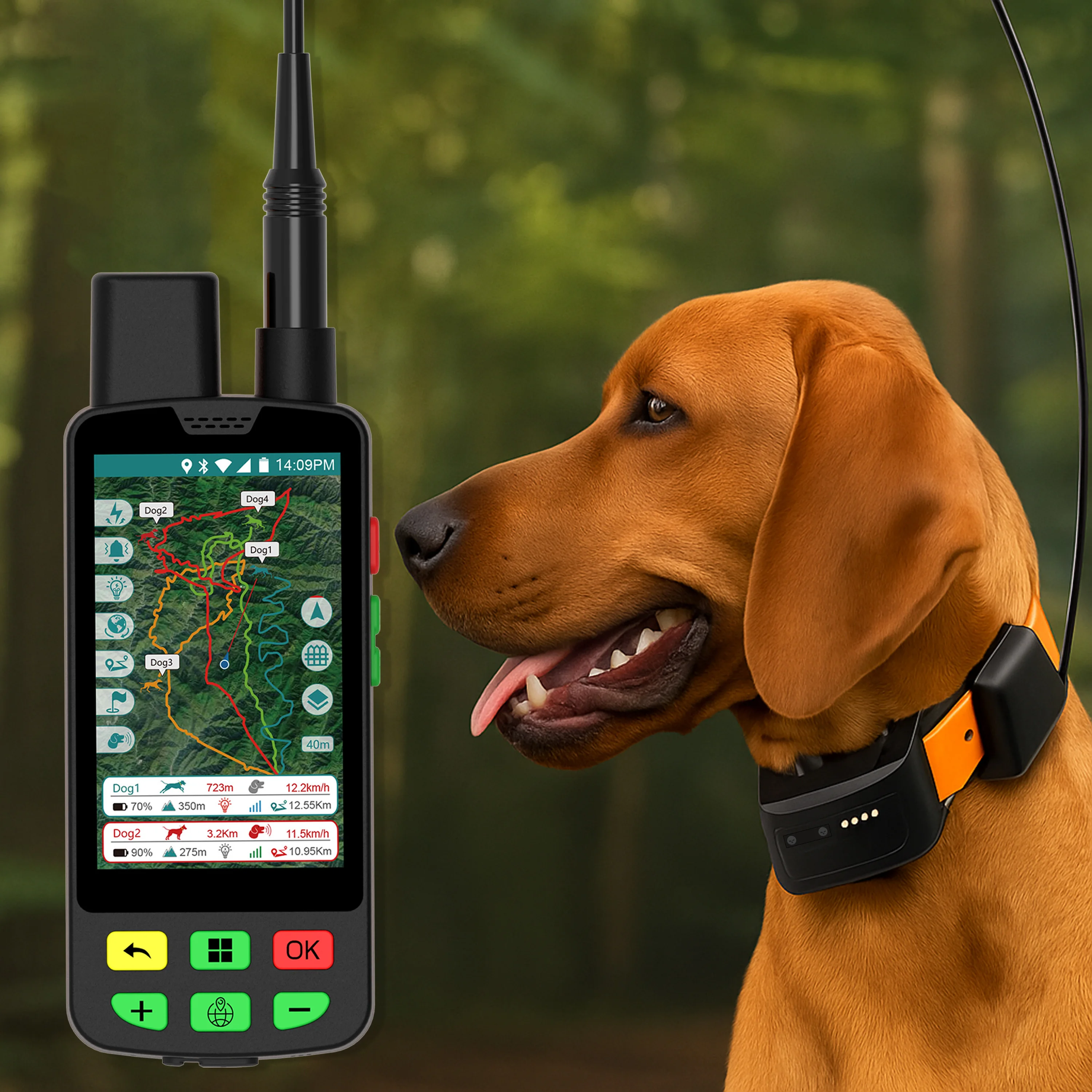 Sistema GPS con coll