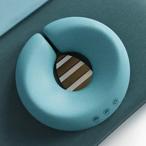 Gesicht nach unten Kissen Spa Master Massage Universal Massage Tabelle Kopfstütze weiche Gesichtsspa Massage Stuhl Schaumkissen Kissen Hauptverkaufskissen Back -Sofa - №5