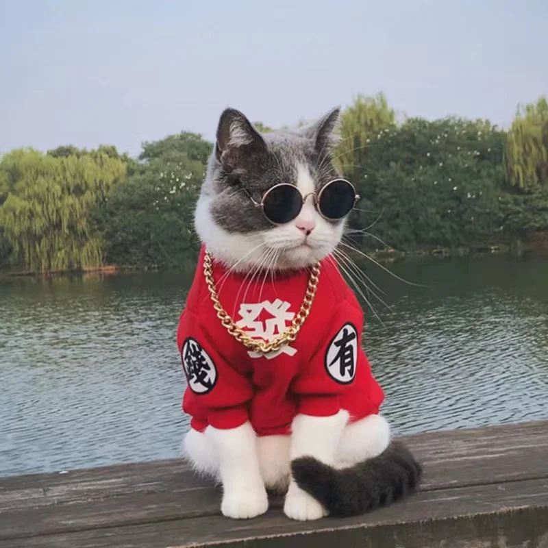 Cute blue cat ragdoll clothes anti-shedding pet cats and  padded and thickened sweater small and medium-sized large dogs