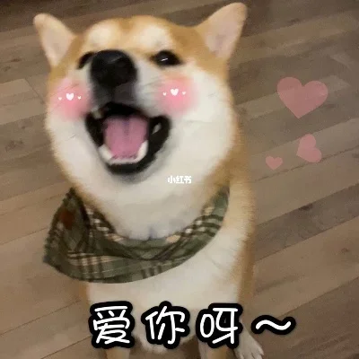 

Multi-function Screwdriver Tweezers Storage Box Rotating 360° Tools Rack Screwdriver Stand Holder for Maintenance repair tools