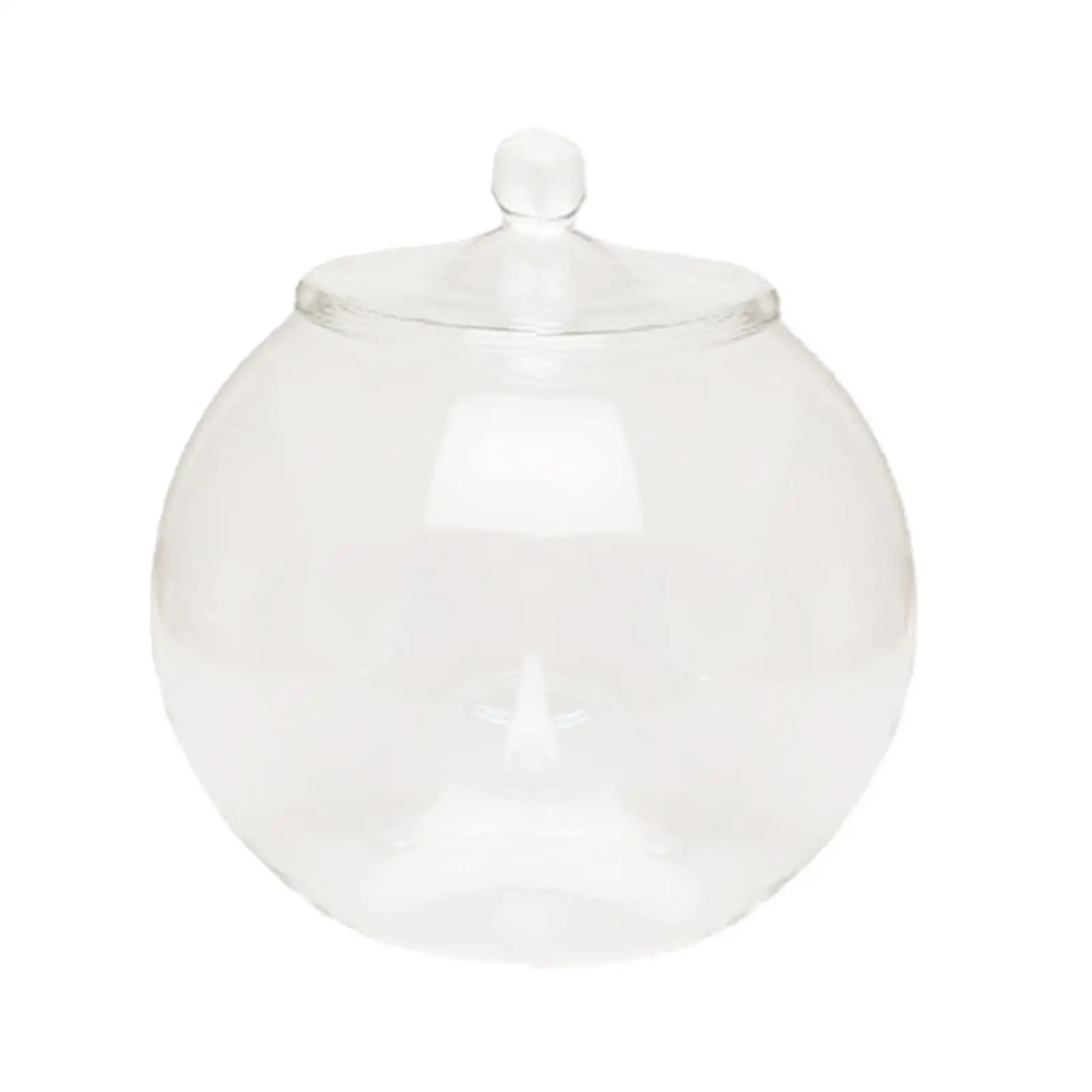 Glass Flower Vase Terrarium Jar with Lid Modern Decorative Container for Living Room Desktop Plant Display