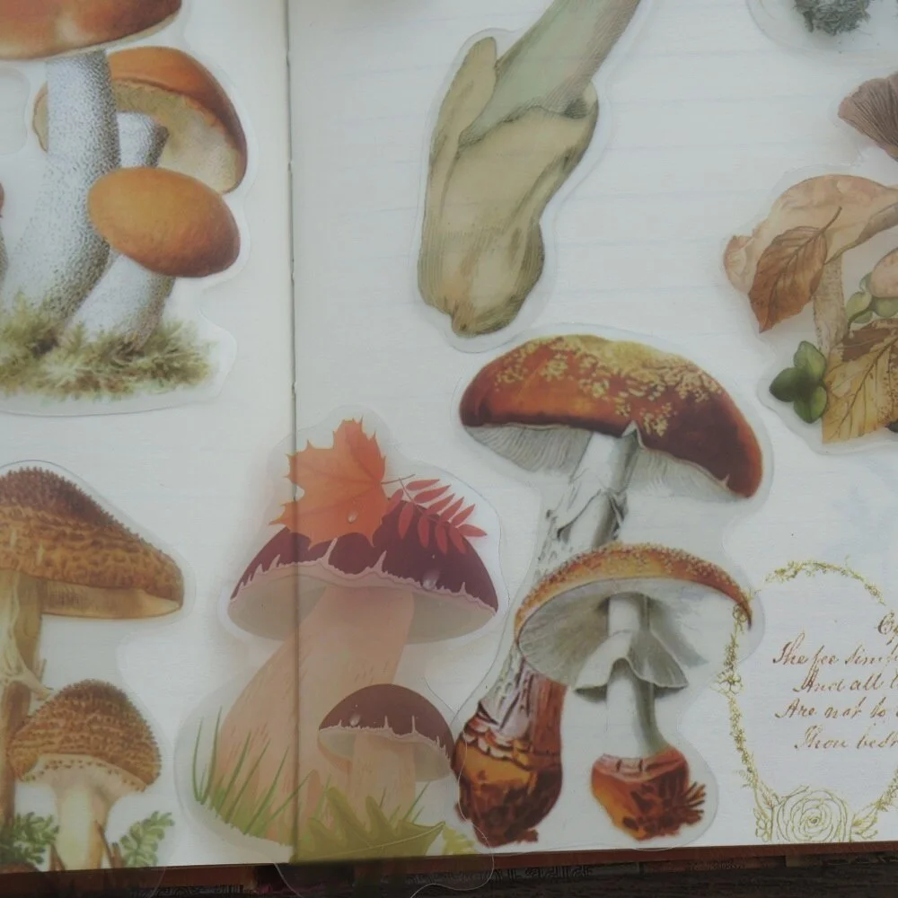 40pcs Colorful Natural Wild Mushroom Style Transparent Sticker Scrapbooking DIY Gift Packing Label Gift Decoration Tag