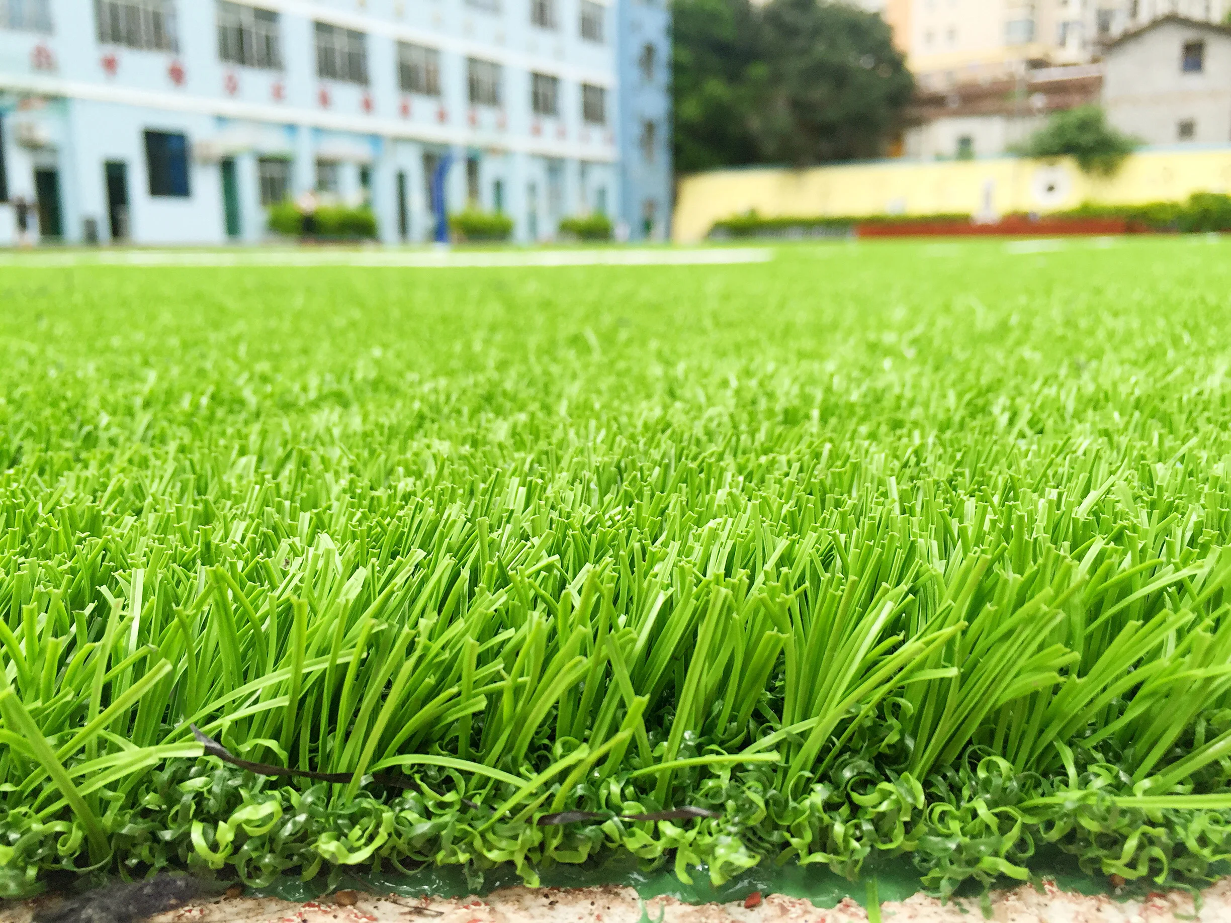 2026 Non-Infill Plastic Futsal Sports Synthetic Grass Factory-Designed for Soccer for Futsal and Soccer Fields