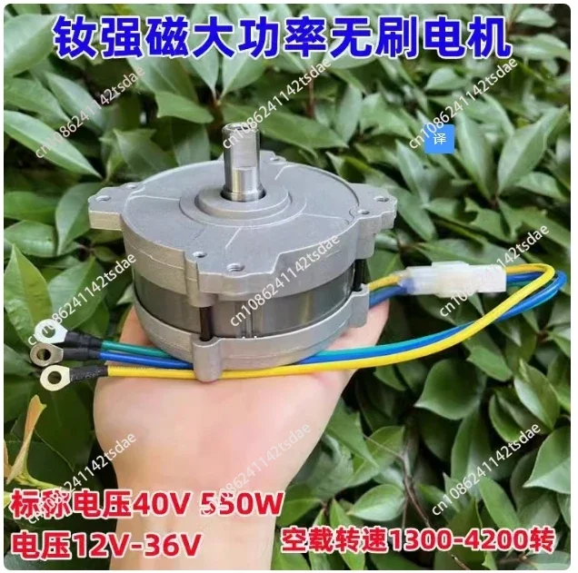 

12V24V36V neodymium strong magnetic high power brushless motor 40V550W high torque brushless mechanical motor