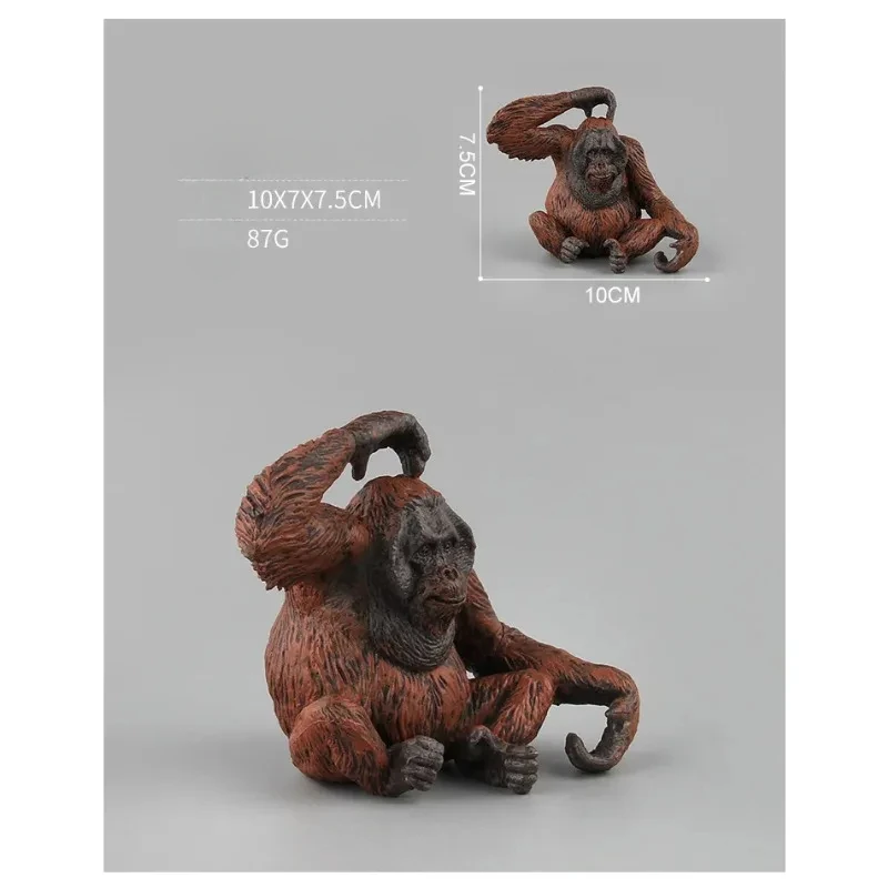 1/6 Scale Simulation Red Gorilla Monkey Sitting Scratching Head Resin Animal Model for Action Figure Ornament Collection Display