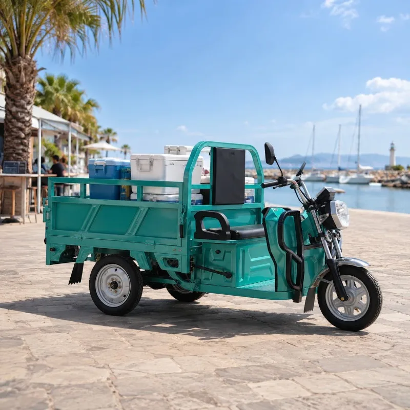 Electric Cargo Trike Customized 500 1000 KG Load Front Shock Rear Leaf Spring Mechanical Drum Brake Farm Yard Delivery
