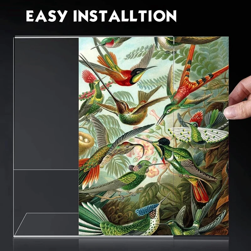 5 × 7 بوصة، 4 عبوات من حامل اللافتات البلاستيكية الشفافة مع ظهر مائل، حامل عرض ورق المستندات