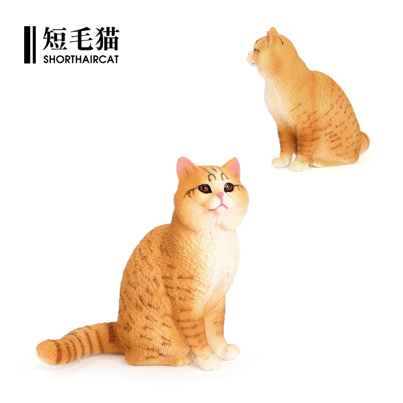 Simulation animal model solid static domestic cat short hair pet cat children's early education cognitive toy