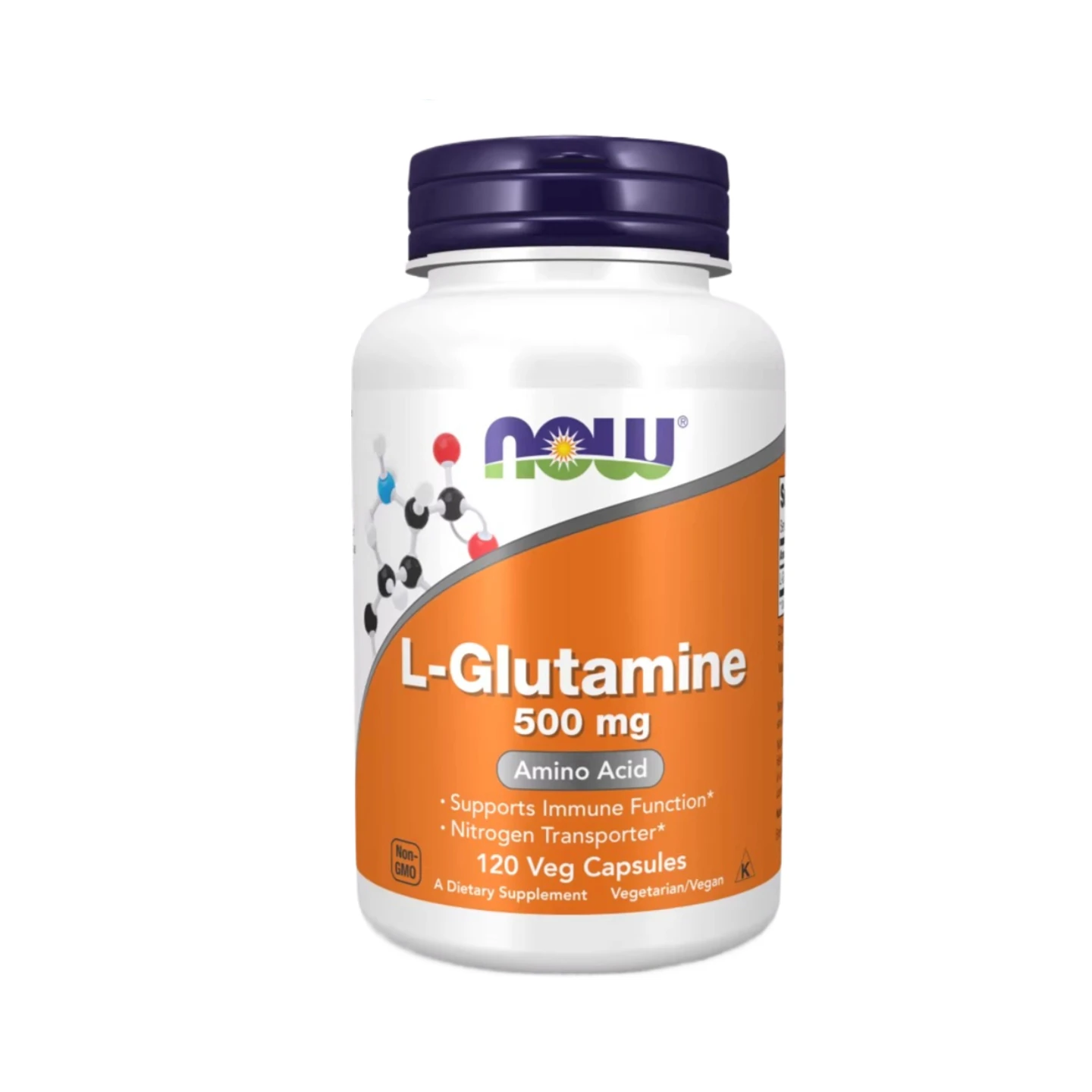 L-glutamine Capsules Replenish Transport Protein Amino Acids and Support Muscle Recovery After Exercise