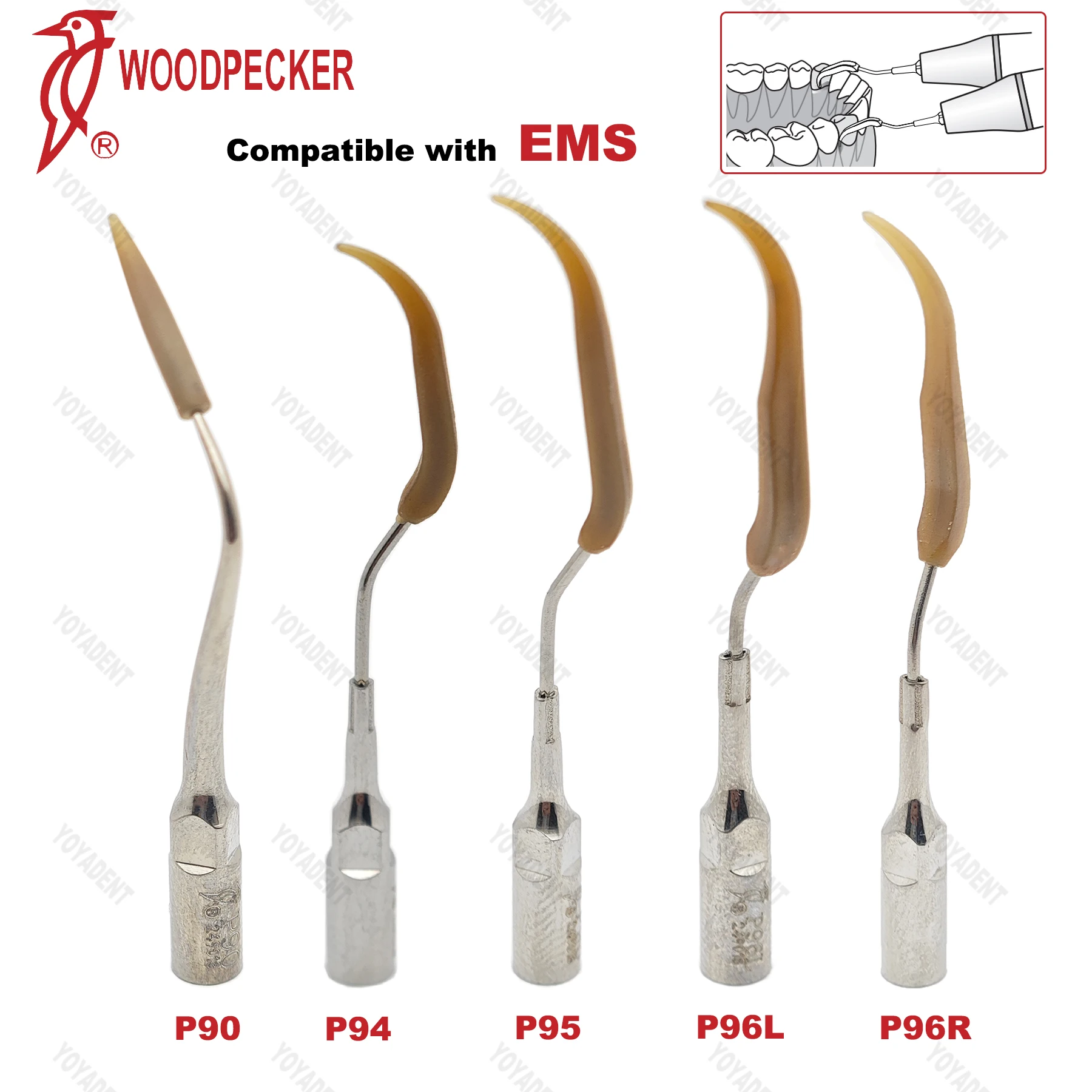 

Original Woodpecker Dental Scaler Tips P90 P94 P95 P96L P96R lmplant Maintenance Tips Fit EMS Scaler Handpiece Dentistry Tools