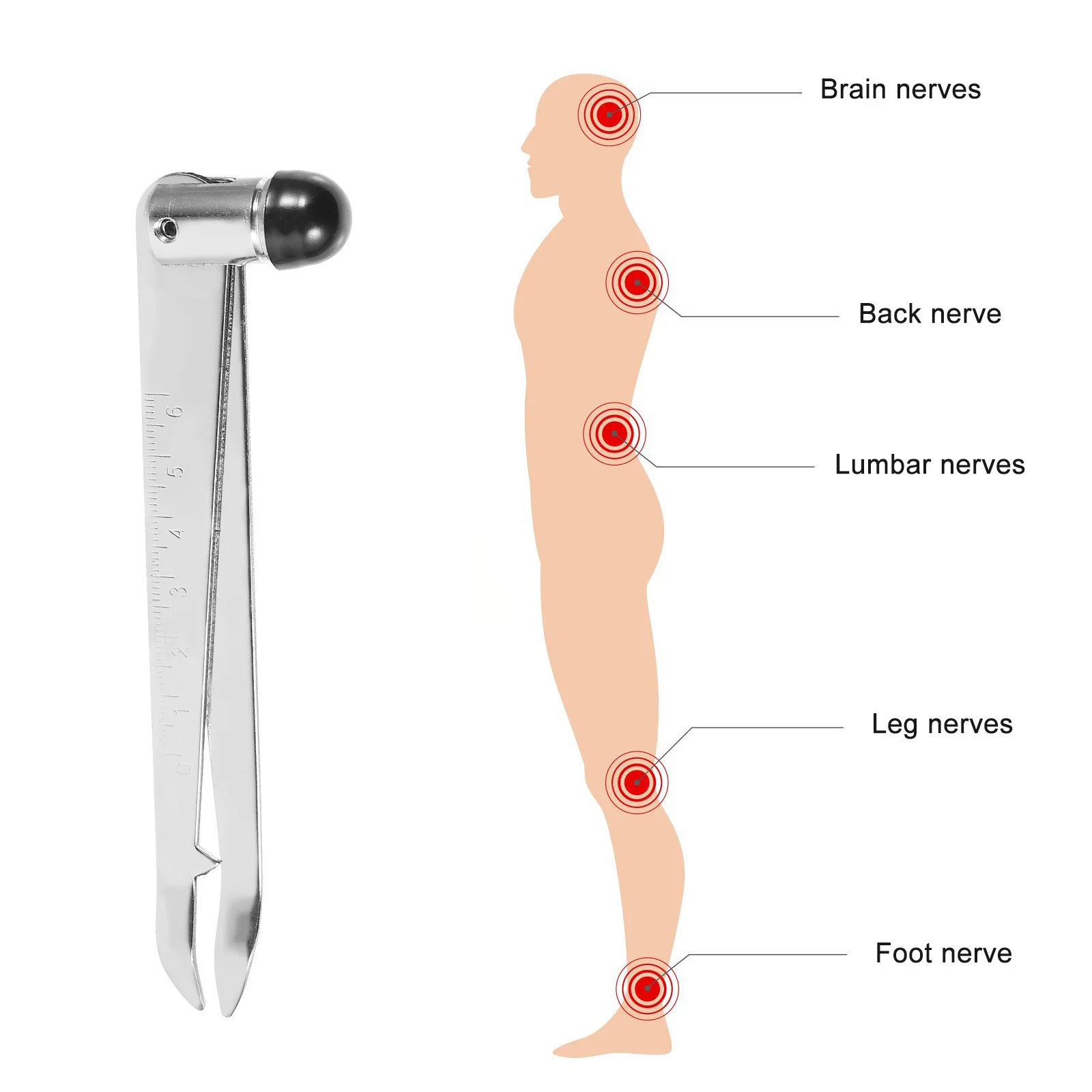 Palu Refleks Multifungsi Palu Perkusi Baja Tahan Karat Portabel Untuk Penggunaan Diagnostik Medis Peralatan Pengajaran