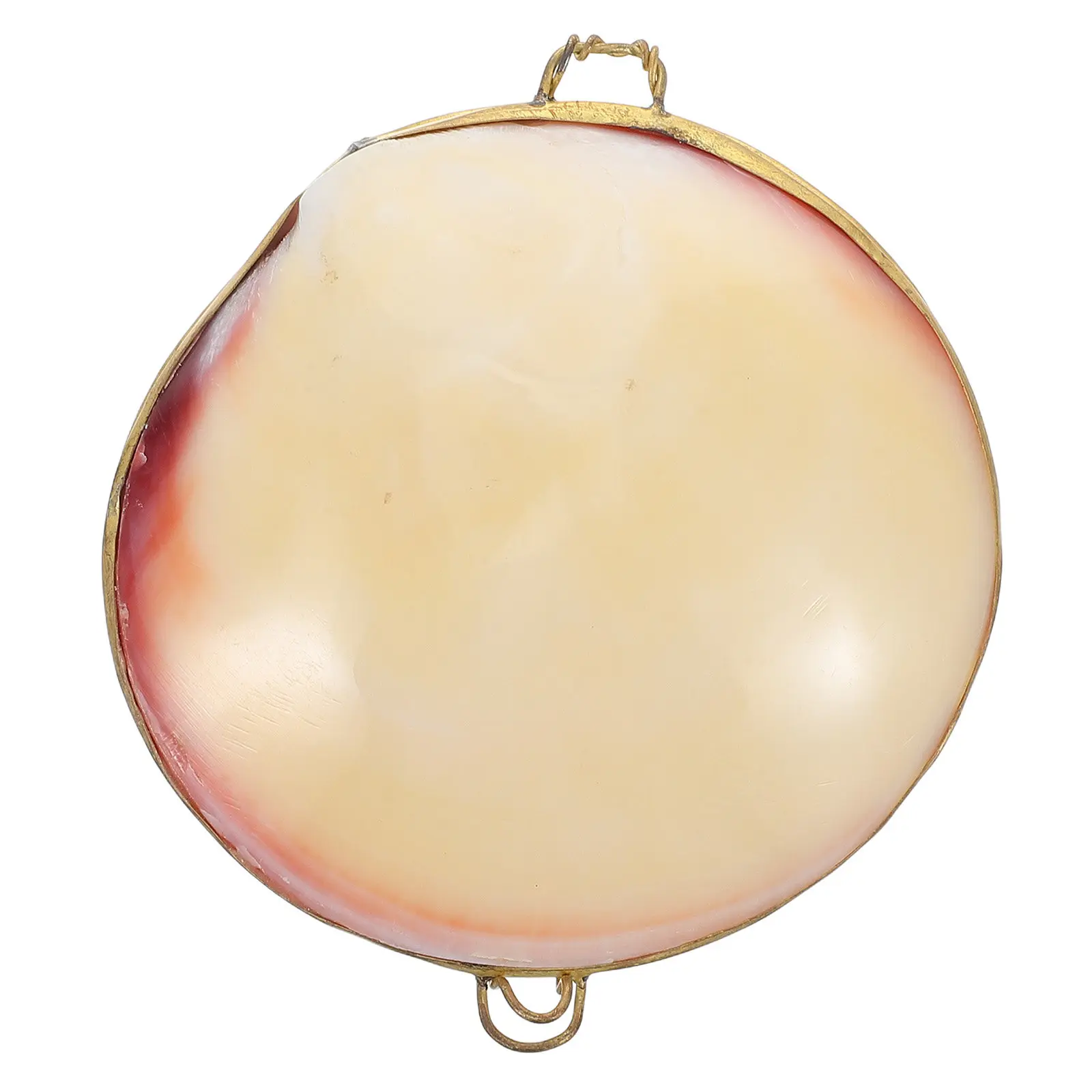 Natural Seashell Jewelry Holder Elegant Compact Travel Organizer for Rings Earrings Necklaces Decorative Ocean Inspired Storage
