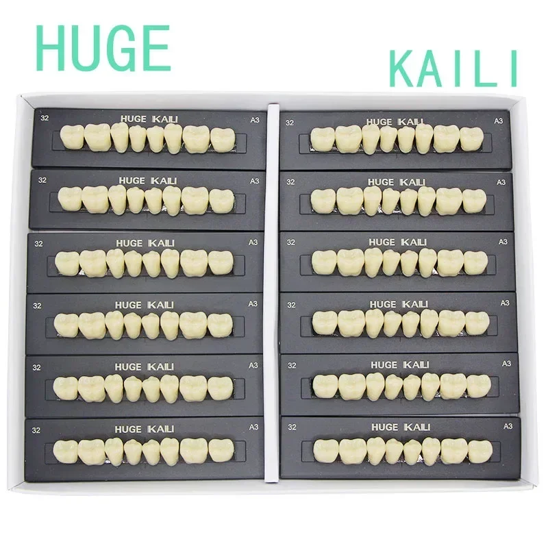 4/12/18 Set /Box Dental Teeth Model Denture DIY Material Anterior Posterior Teeth Education Model A2/ A3 T2-T10