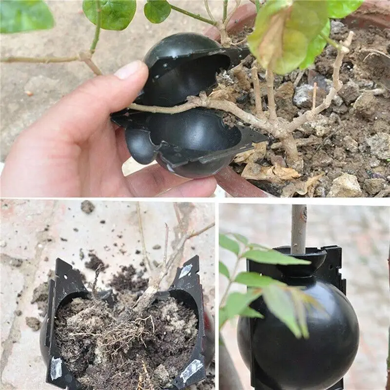 20Pcs Reusable Plant Rooting Equipment Kit Cutting Grafting Rooting Box Branch Rooting Propagator Breeding Ball-AT36