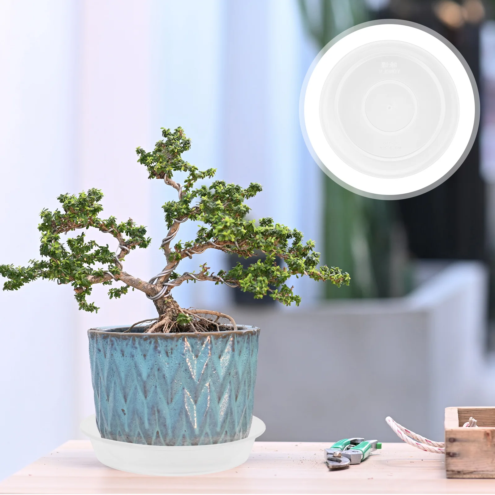 

10Pcs Transparent Plastic Plant Trays Robust Flowerpot Bottom Tray for Various Pots and Plants Flower Pot Tray