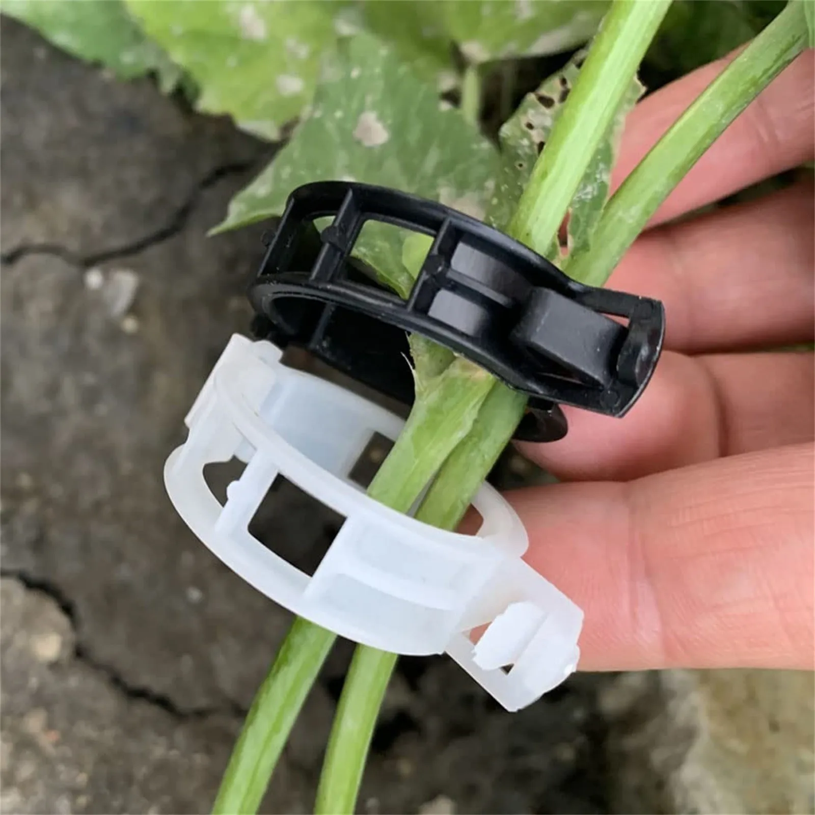 

100 PCS Plant Support Clips Plastic Ties Trellis Stake Clips Garden Veggie Tomato Greenhouse Holder For Garden Tools Accessories