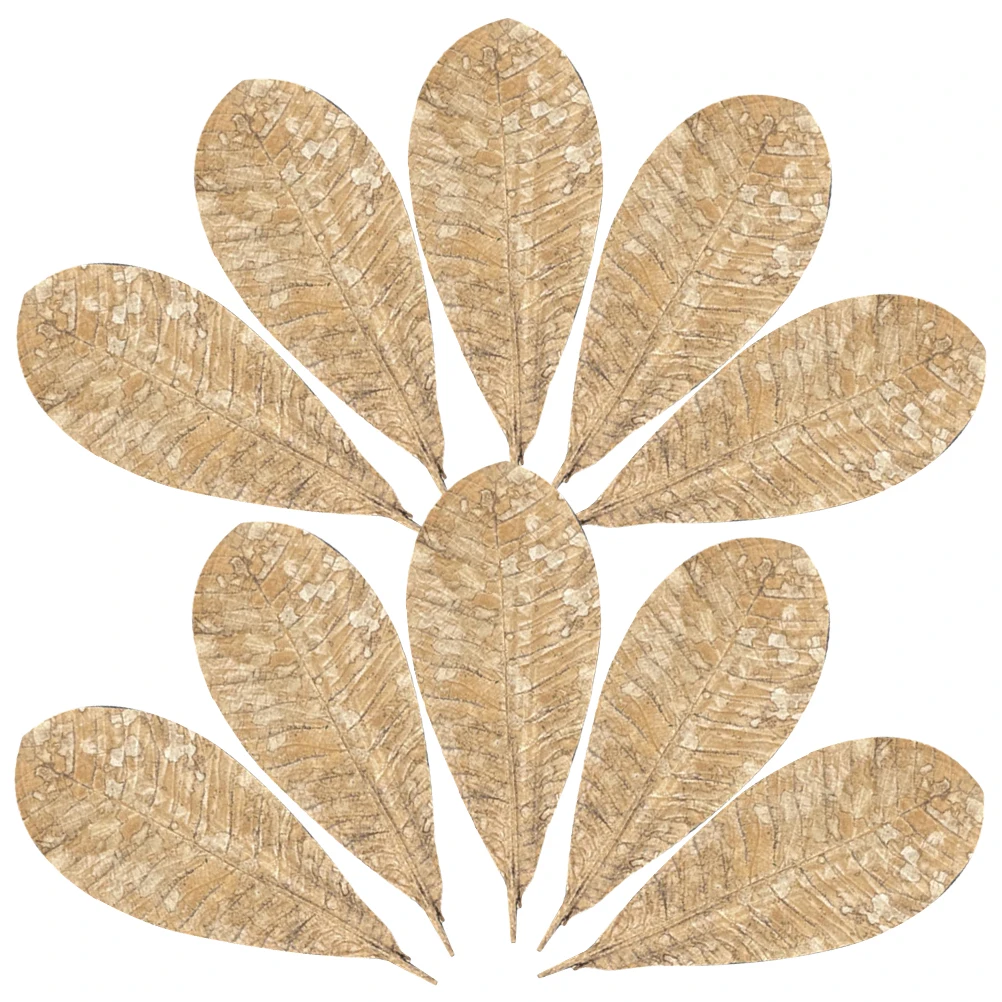 

20Pcs Sushi Dried Leaf Decoration Creative Japanese Food Plate Leave Prop Unique Sashimi Backdrop Decor Dried Leaf