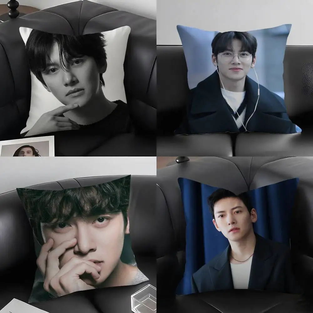

J-Ji C-Chang Wook Pillow Case Home Dorm Chair Back Short Plush Double-sided Printing Office Nap Time Cushion Cover