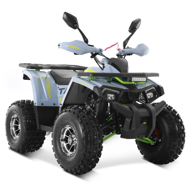 Alloy Rim Chain Drive Automatic 2WD 125cc ATV Disc Brakes