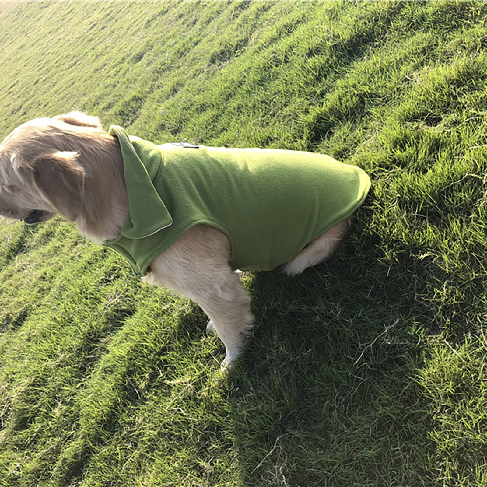 Puppy Boy Clothes Pet Fleece Winter In With Vest Clothing And On Dog Autumn Both Sides Clothing Dog Shirt For Small Dogs Female