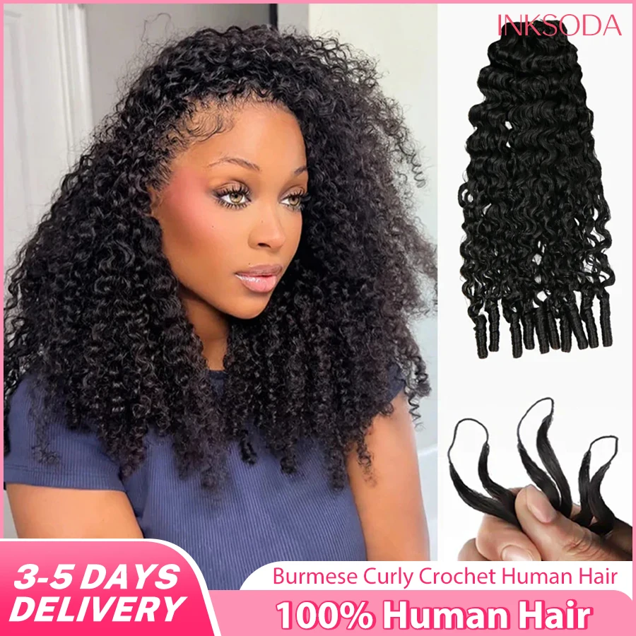 Burmese Curly Croch…