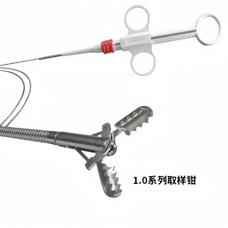 

1mm forceps Disposable forceps Endoscopy Cystoscope Bronchoscope Gastroenteroscope Laryngoscope forceps