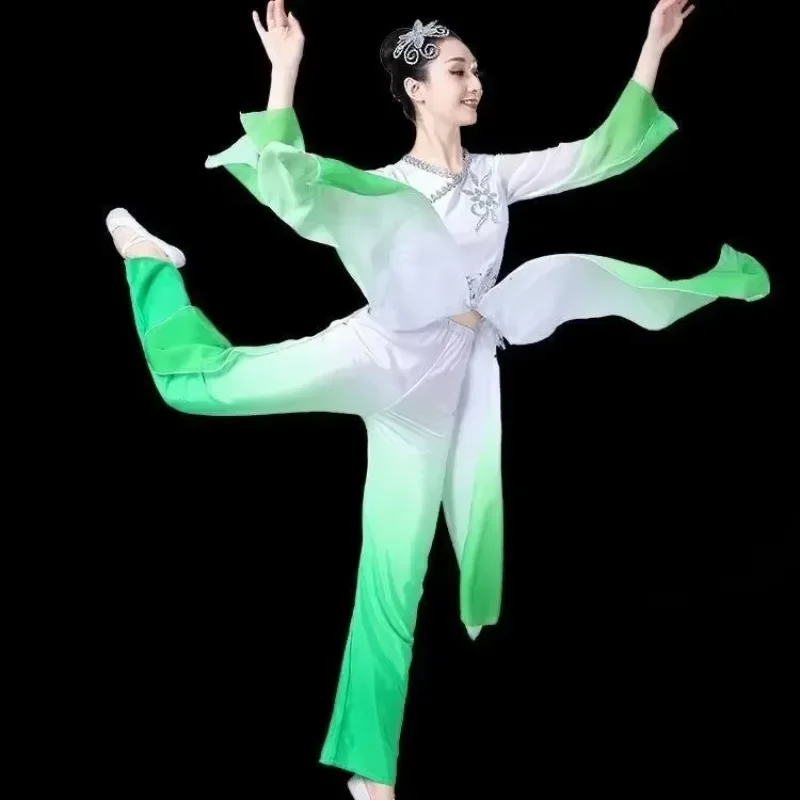 

Chinese Folk Dance Classical Dance Costumes Women Water sleeve Performance Clothing Girls Long Sleeve Yangko Dance Costumes