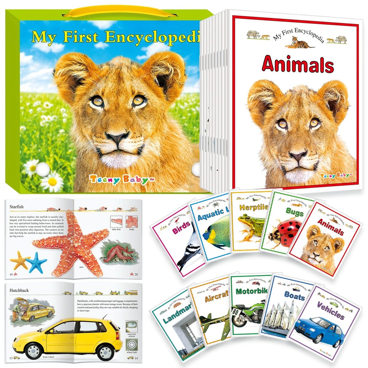 

Complete 10-Book English Science Cognition Series, broaden general knowledge, high-quality early education reading materials