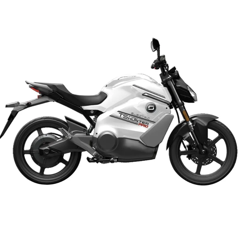 Bicicleta elétrica straddle com freio a disco dianteiro e traseiro StreetHunter