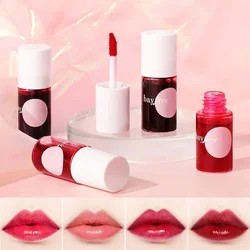 4 Colors Lip Gloss Mini Lip Glaze Mirror Long Lasting Lip Ink Lip Makeup Waterproof Moisturizing Liquid Lipstick Cosmetic