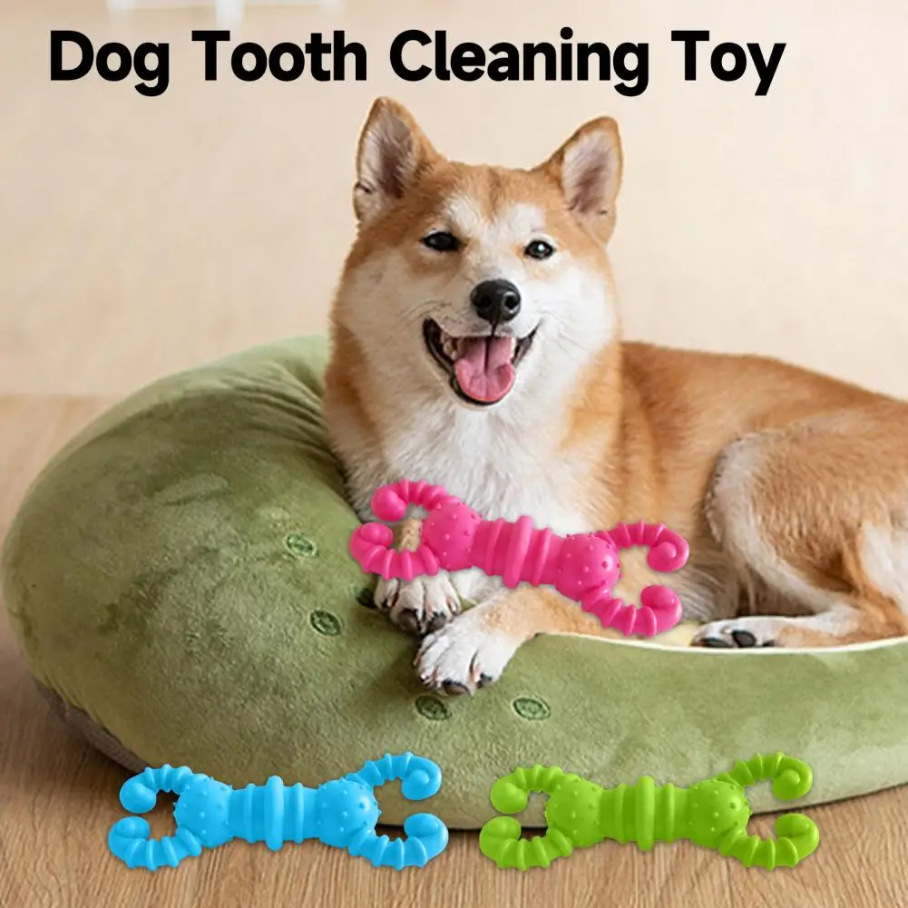 Dog Tooth Toy Lobster Shape Dog Chew Toy for Teeth Molar Health Bite-resistant Pet Toy for Funny Games Clean Teeth for Healthy