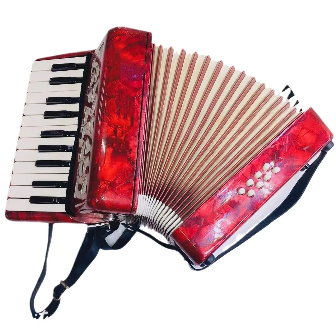 Upscale 22 Key 8 Bass Entry Level Keyboard Style Students Practice Accordion