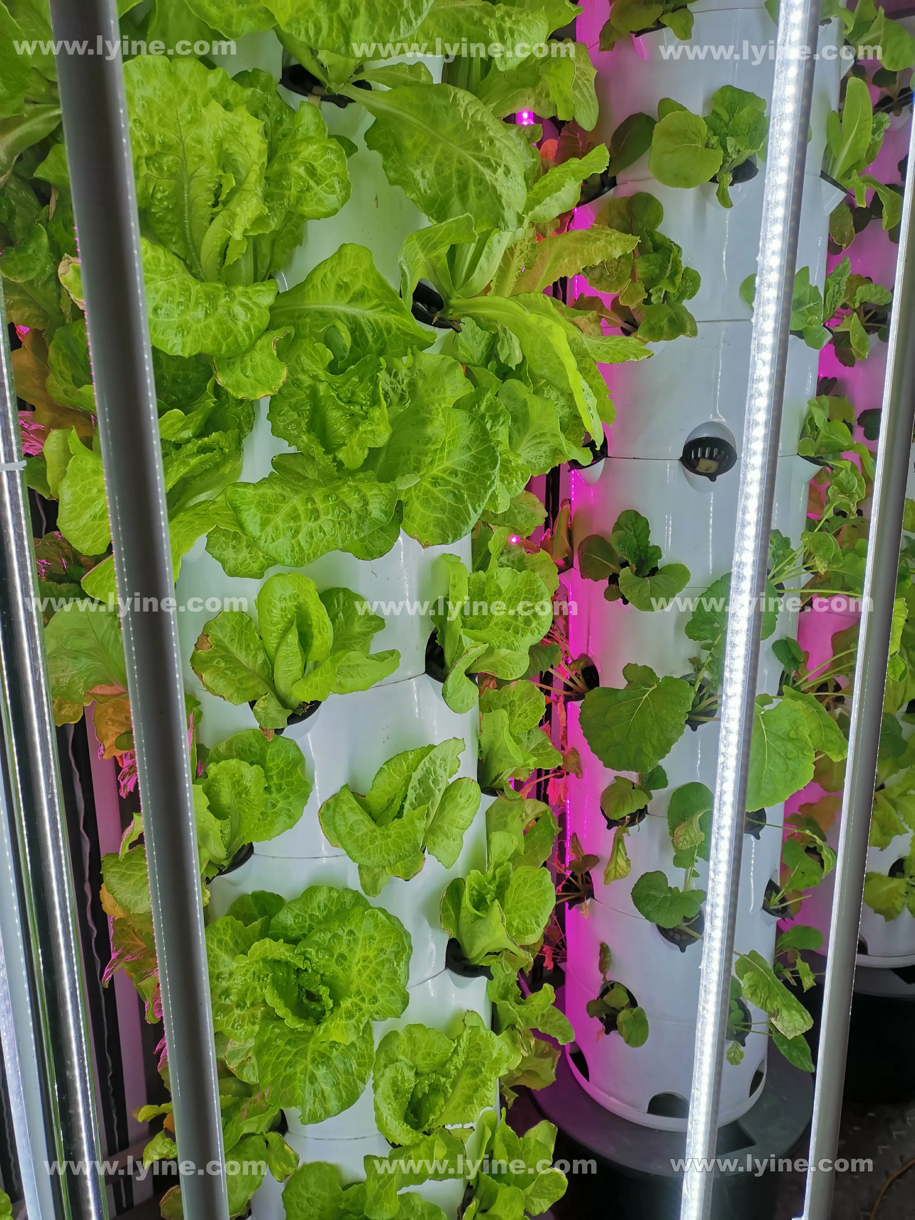 Automated beautiful and practical hydroponics system vertical hydroponics system hydroponic tower for growing fresh vegetables