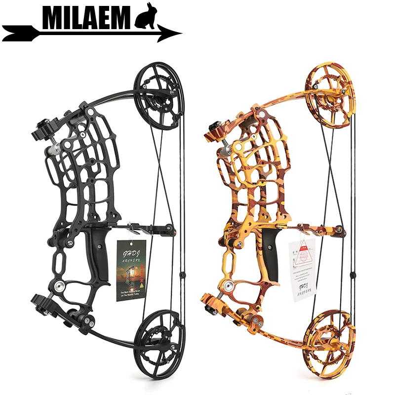 

Archery Compound Bow 30-70lbs Dual-use Steel Ball Bow Arrows Steel Ball 420FPS Fishing Hunting Shooting Accessories