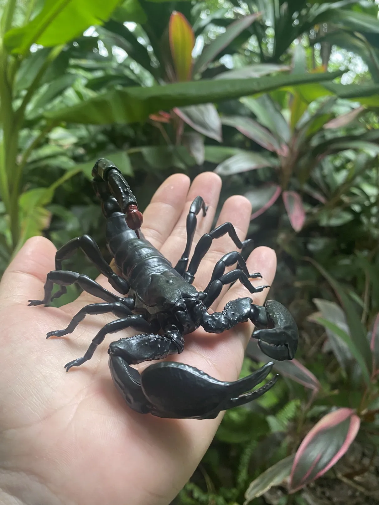 Genuine Bandai Biological Big Picture Book Movable Scorpion Emperor Scorpion Animal Model Ornament Twist Egg FIGURE