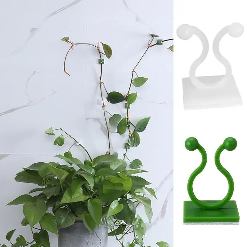 

100 Pcs Plant Climbing Wall Self-Adhesive Fixed Buckle Hook Vines Fixture Clips Garden Plant Wall Climb Vine Traction