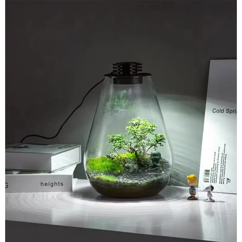 Bryophyte Light Ecological Glass Bottle Microlandscape Lamp  Breathable Fish Tank Light Water Grass Fill Light