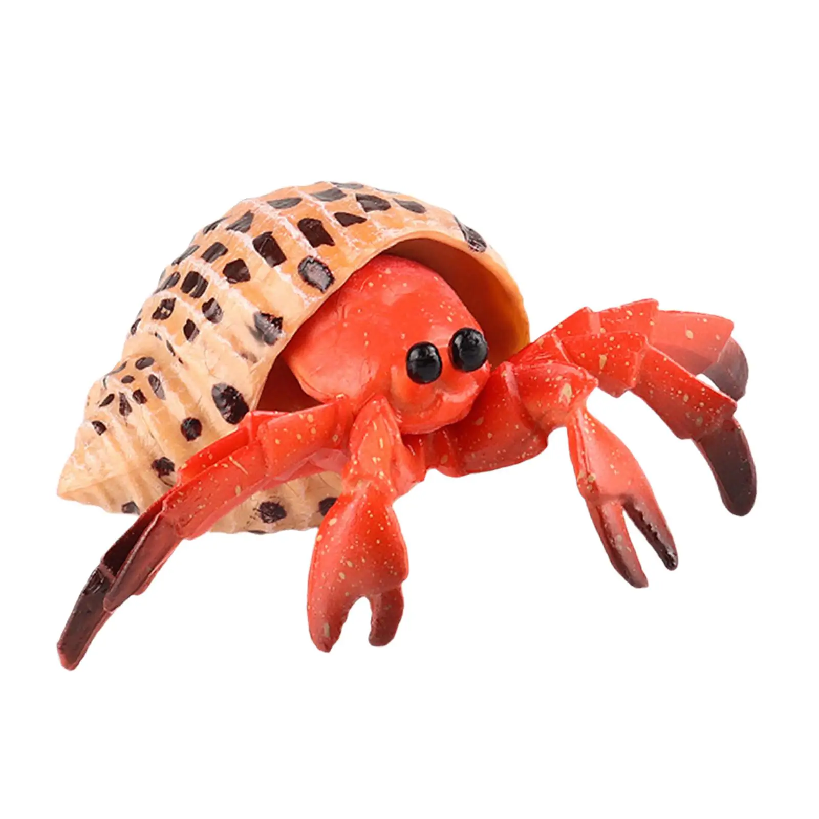 مجموعة لعب تمثال الحيوانات الناسك كراب مجموعة حوض السمك لعبة أطفال إبداعية نموذج محاكاة للفصول الدراسية