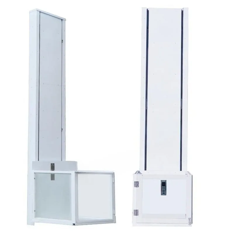 Customizable 2-8m Villa Electric Lift Small Platform Home Elevator Remote Control Smooth Lifting