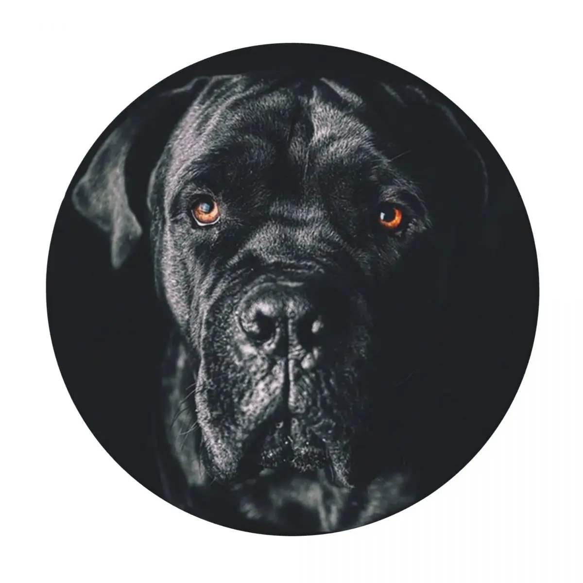 The Art Of Dog Cane Corso Italian Mastiff Waterproof Round Tablecloth Oilproof Table Cloth for Kitchen Events Dining Table Cover