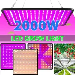 Nieuwste kweeklampen Led volledig spectrum plantenlamp Kas Kamerplant Licht groeien EU / AU / UK / US-stekker Meerdere kleuren beschikbaar
