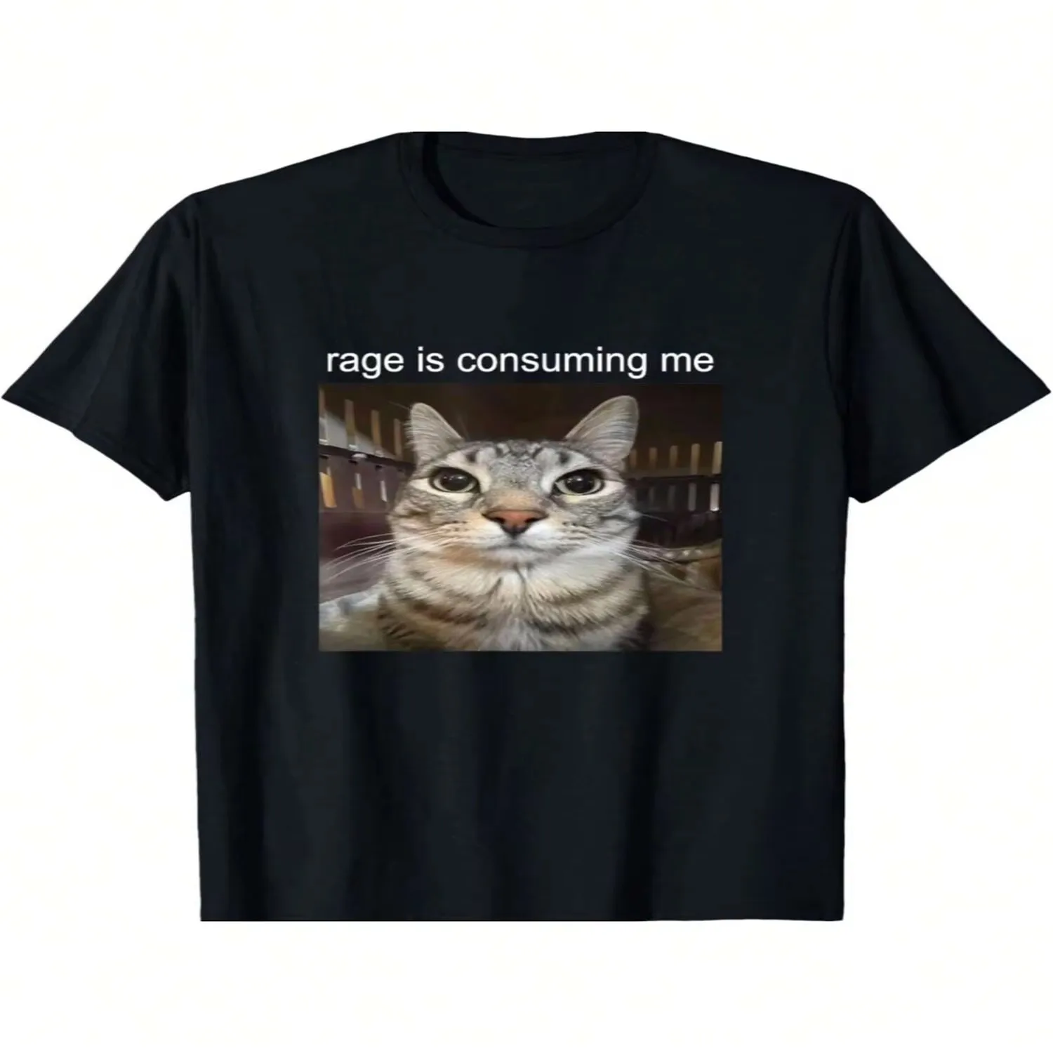 Rage Is Consuming Me Silly Staring Cat Meme T-Shirt lightweight tshirt, unisex t-shirt