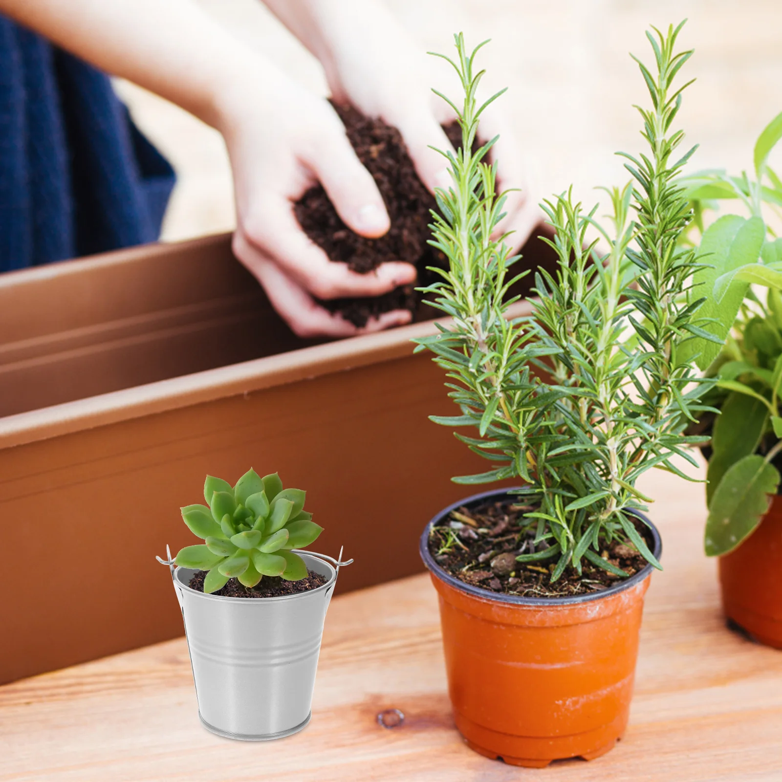 4 stücke Weißblech Eimer Candy Farben Langlebige Kleine Eimer Für Party Gefälligkeiten Sukkulente Topf Blume Eimer Mit Griff